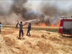 खेतों में लगी आग