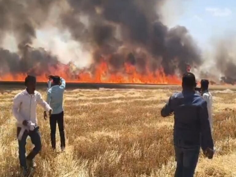 Kota farm fire