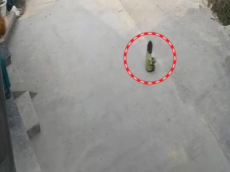 Dehradun Child Car Accident