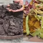 Kitchen Waste Usefull