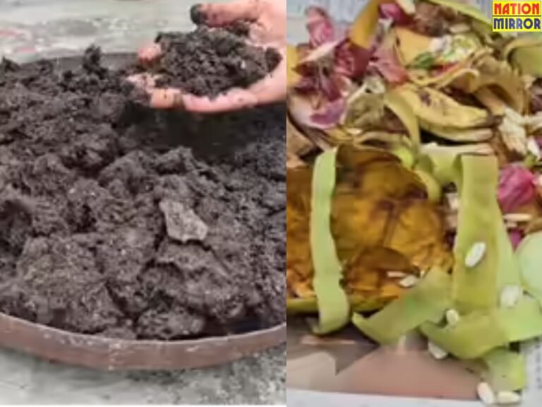 Kitchen Waste Usefull