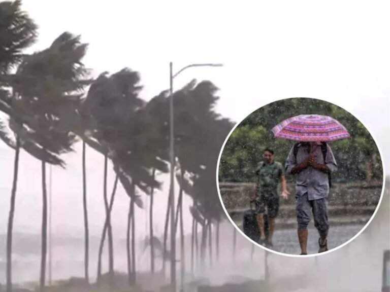 MP में फिर होगी बारिश