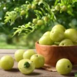Benefits of Amla