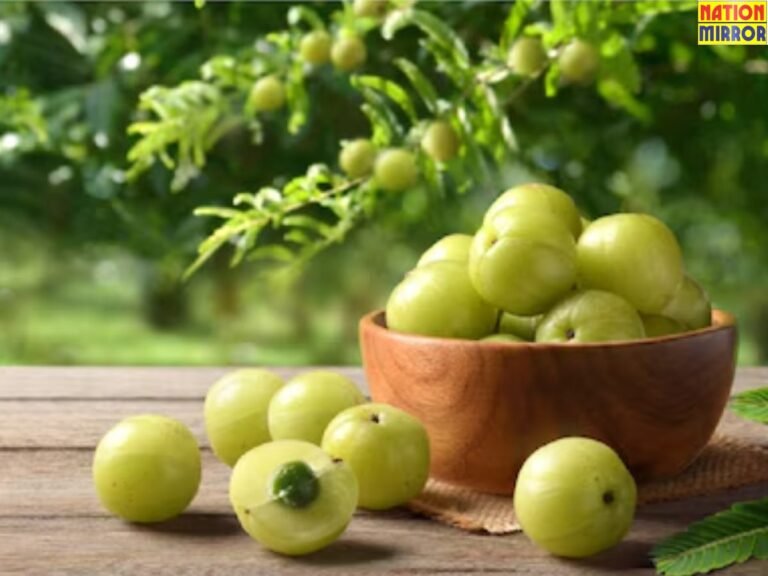 Benefits of Amla