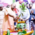 Forest and Economics UP