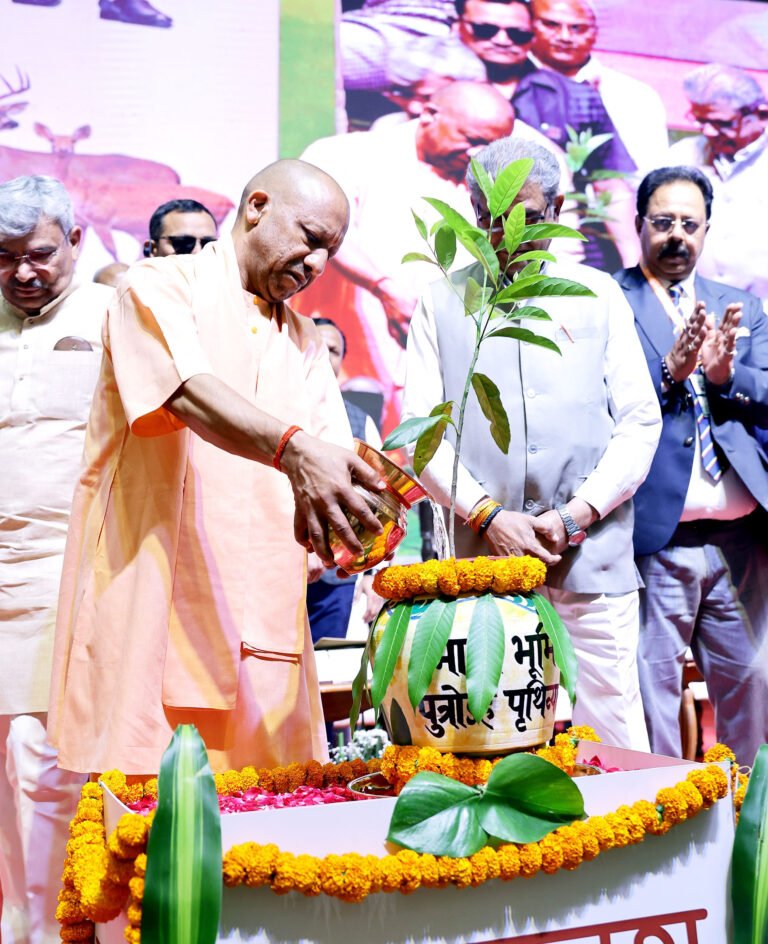 Forest and Economics UP