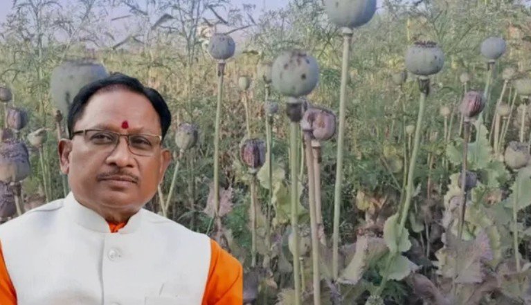 अफीम की खेती पर सीएम साय सख्त