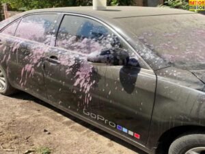 कार पर एसिड अटैक