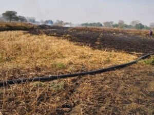 किसानों के खेतों में लगी भीषण आग