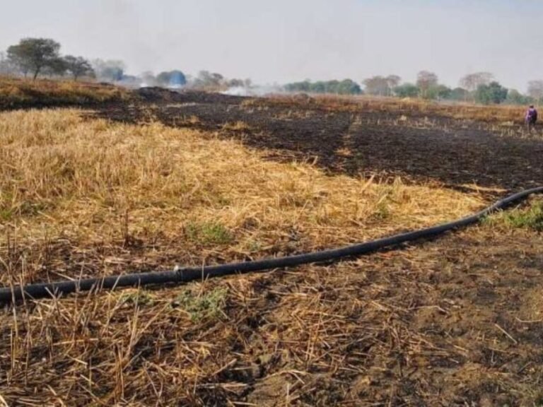 किसानों के खेतों में लगी भीषण आग