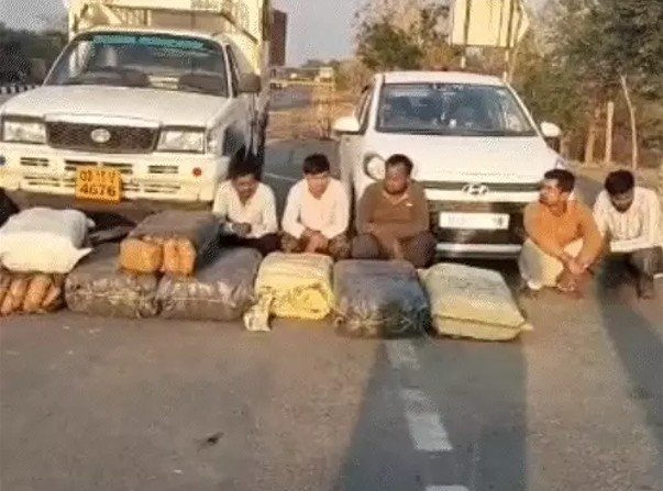 गांजा तस्करी