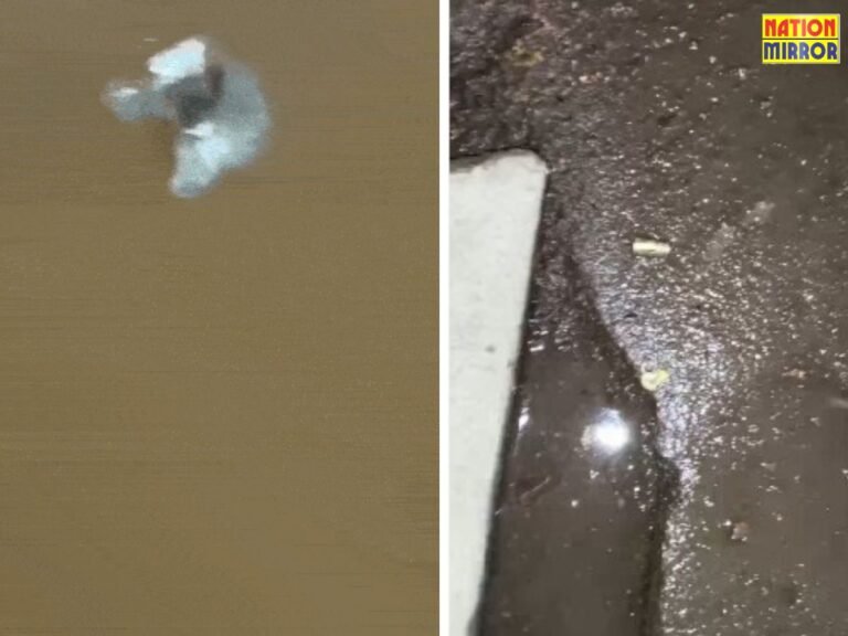 बदमाश पति-पत्नी ने की फायरिंग