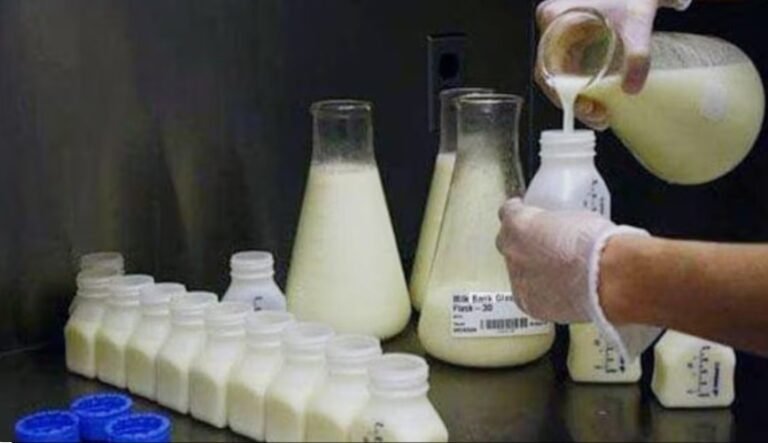 मिलावटी दूध की जांच