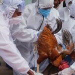 वर्ड फ्लू का खतरा