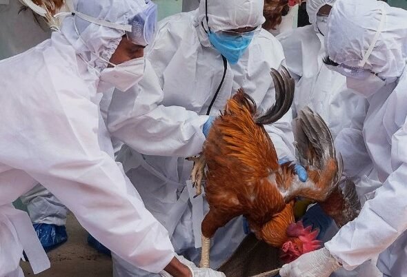 वर्ड फ्लू का खतरा