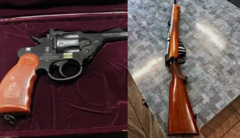 शस्त्र लाइसेंस