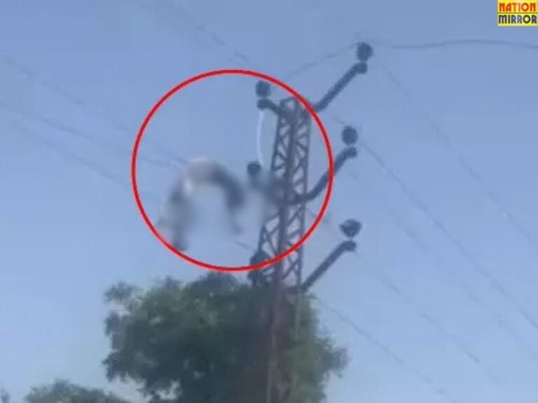 Bharatpur Theft death