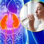 Healthy Kidney Tips 2