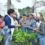 असम चुनाव में चाय बागानों तक पहुंची सियासत: झारखण्ड सीएम हेमंत और कल्पना सोरेन ने मजदूरों संग बिताया वक्त