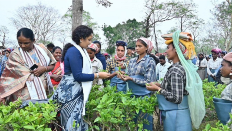 असम चुनाव में चाय बागानों तक पहुंची सियासत: झारखण्ड सीएम हेमंत और कल्पना सोरेन ने मजदूरों संग बिताया वक्त