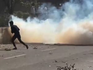 नोएडा में