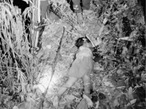 मासूम बनी तेंदूएं का शिकार