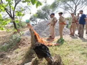 नीलू और उसके बेटे की हत्या के बाद मौके पर जांच करते पुलिस अधिकारी।