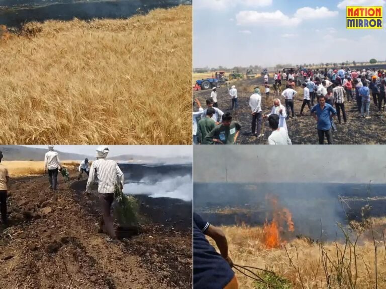 रायसेन में 50 एकड़ गेहूं की फसल में लगी आग